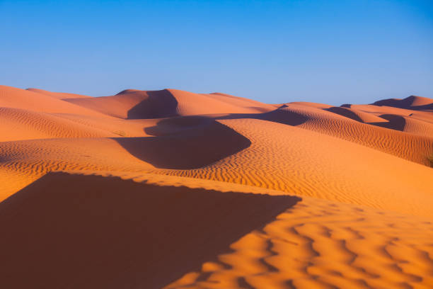 istock wonderful sand dunes in the desert sahara 1242130278