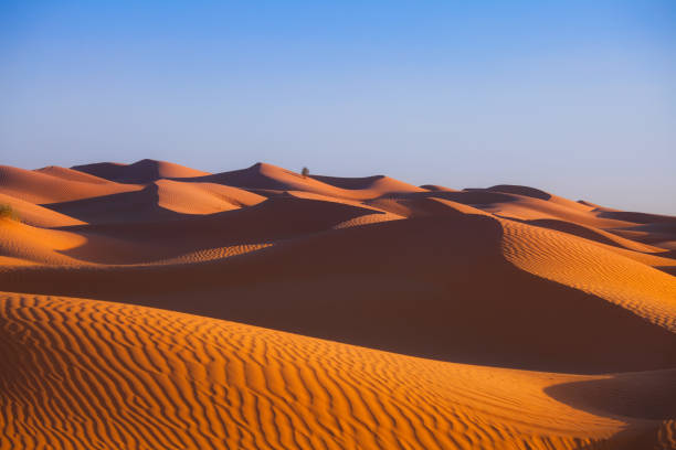 istock wonderful sand dunes in the desert sahara 1242131355