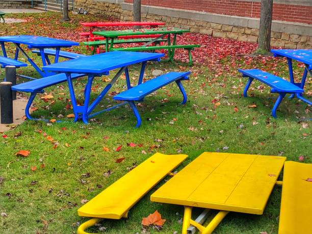 istock Colorful Picnic Tables 1242133991