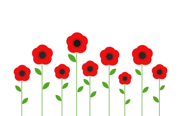 Red Poppies Flowers Stock Illustration - Download Image Now - Poppy -  Plant, Vector, Cartoon - iStock