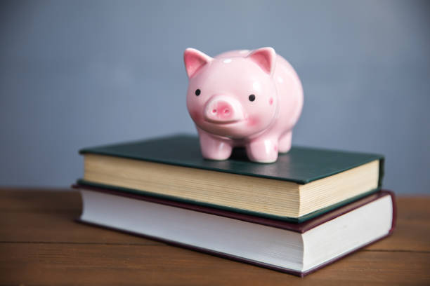 istock piggy bank on book 1242151999