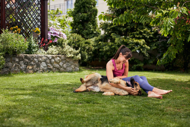 istock Young attractive fit yogi brunette playing with her dog in backyard. 1242158447