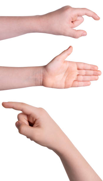 istock Set Of Child Hands Showing Symbols 1242160598