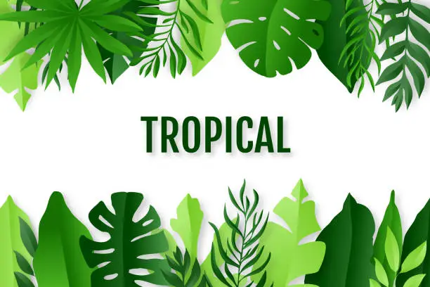 Vector illustration of Green tropical leaves frame. Summer background. Paper cut style. Vector illustration