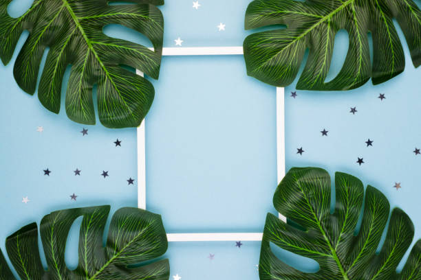istock Creative minimal arrangement of leaves on a soft blue background with a white border 1242173379