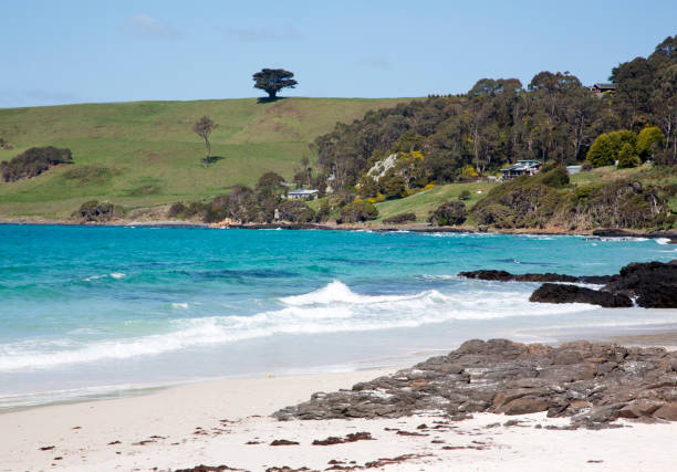 istock Scenic Bar Harbor beach in Tasmania, Australia 1242176635