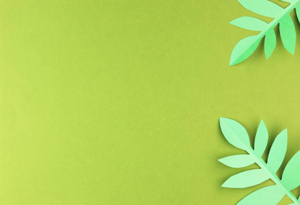 istock various tropical leaves on a green background, top view. 1242177714