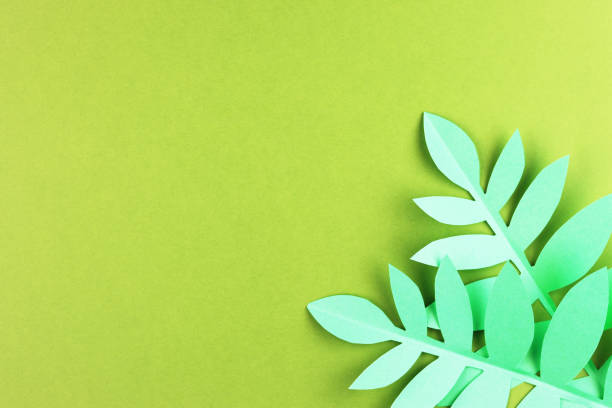 istock various tropical leaves on a green background, top view. 1242177723