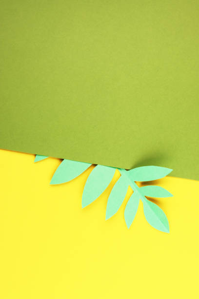 istock various tropical leaves on a yellow and green background, top view. 1242177744