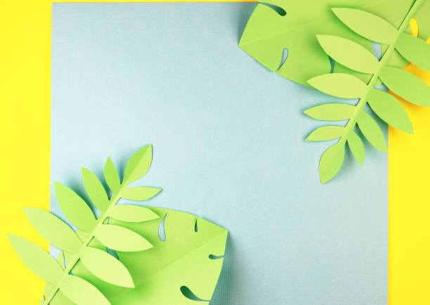 istock various tropical leaves on a yellow and blue background, top view. 1242178286