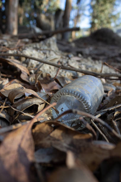 istock Trash: Another Glass Bottle in the Forest 1242182091