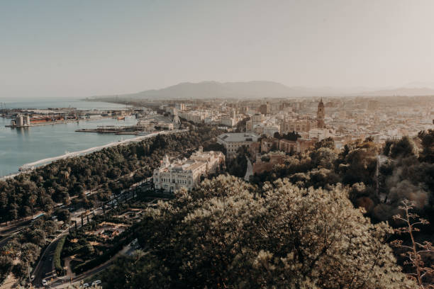 istock Aerial view of Malaga 1242195024