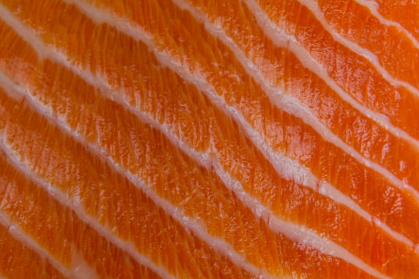 istock Texture of salmon fish fillet for the background 1242206949