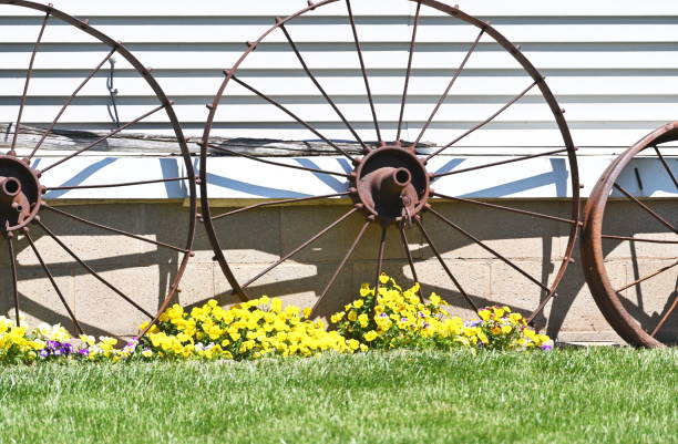 istock Wheels and Flowers 1242210615