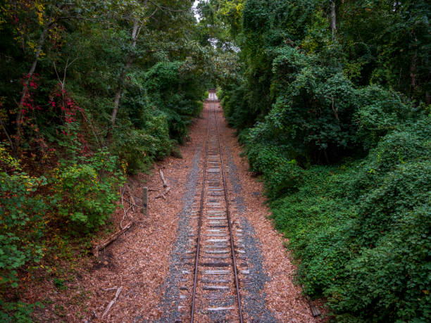 istock Railroad tracks running through a forest with green foliage on both sides and fallen dried leaves on the tracks 1242212875