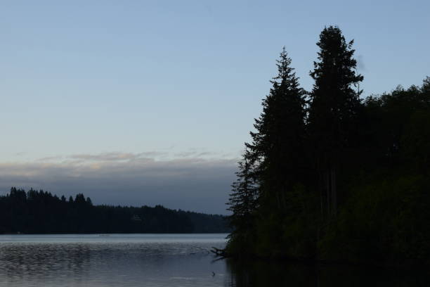 istock Silhouetted Dense Forest Along The Bay Against Soft Cloudy Sky During Sunrise 1242234144