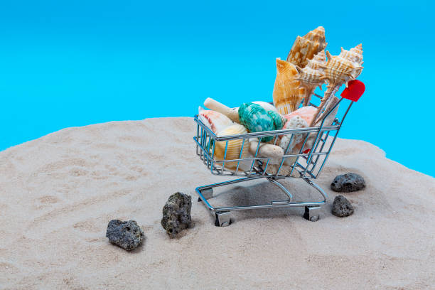 istock Seashells, shells and sand in stones and carts 1242239999