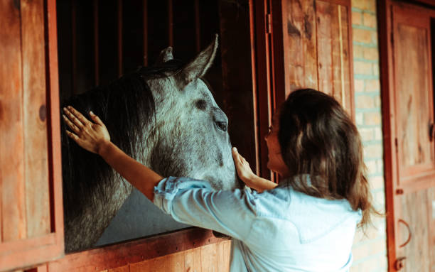 istock Young woman and horse 1242241582