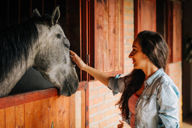 istock Young woman and horse 1242243161