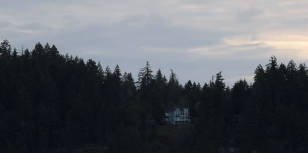 istock Beautiful Blue House Surrounded By Dense Coniferous Forest Against Dense Cloudy Sunrise 1242244761