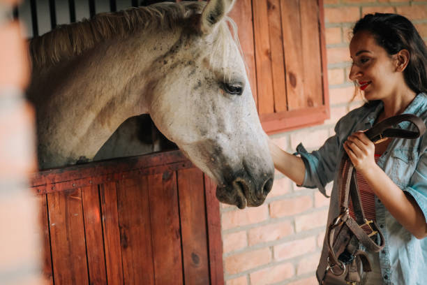 istock Young woman and horse 1242250646
