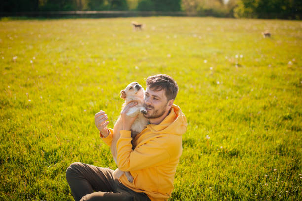 istock Young Man Having Fun With His Dogs 1242259751