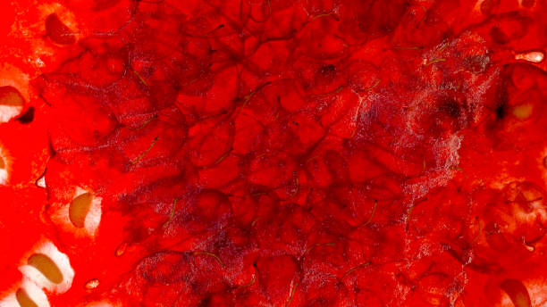 Macro image of crushed and squeezed red raspberry. Berry jam or smoothie. Abstract background of berries and fruits. Macro photo of crushed and squeezed red raspberry. Berry jam or smoothie. Abstract background of berries and fruits. strawberry crush stock pictures, royalty-free photos & images