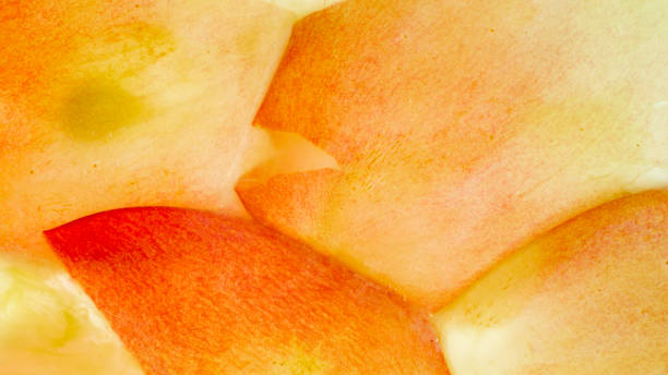istock Macro abstract image of crushed, mashed or squeezed grapes. Abstract background of berries and fruits. 1242294476