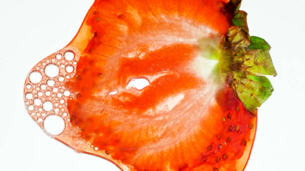 Closeup image of crushing and squeezing juicy ripe strawberry. Abstract background of berries and fruits. Closeup photo of crushing and squeezing juicy ripe strawberry. Abstract background of berries and fruits. strawberry crush stock pictures, royalty-free photos & images