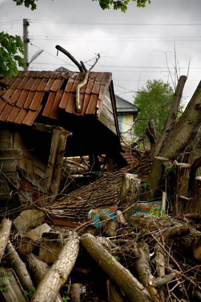istock Ruins of a house, old boards and trees 1242299365