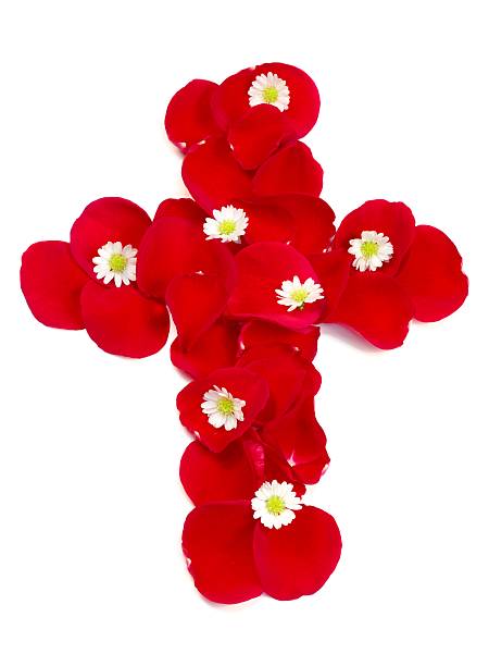 istock Cross of Rose Petals 124232002
