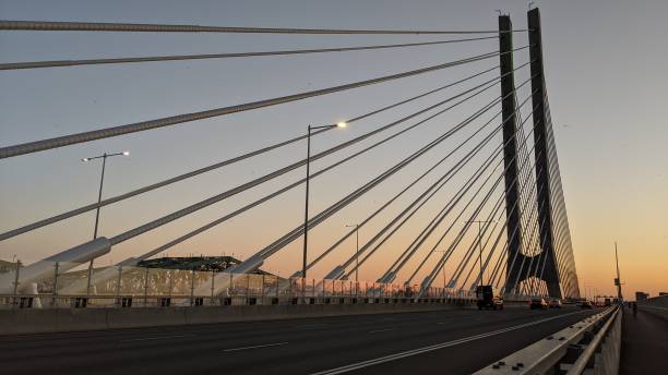 istock Haubans of the Pont Samuel-de-Champlain (ph D) 1242332923