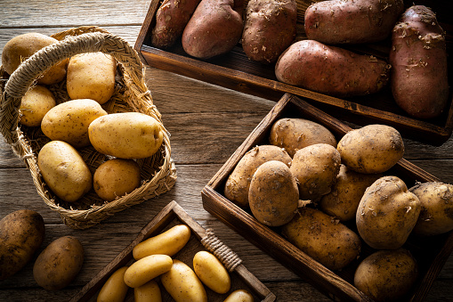 Raw potatoes varied of different shapes and colors on rustic wood after harvest