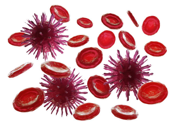 istock virus infecting the blood on white background. 3d illustration 1242390359