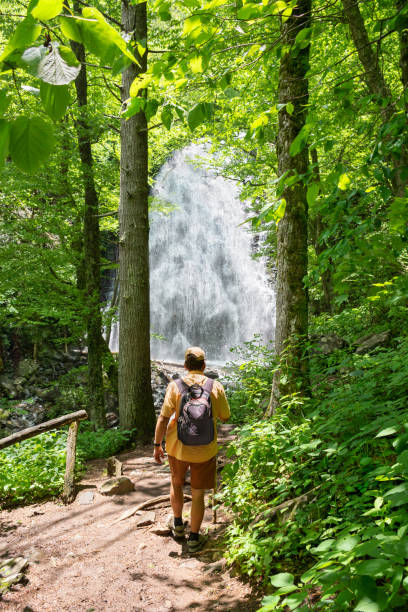 istock Man with backpack hiking in in the forest. 1242394681