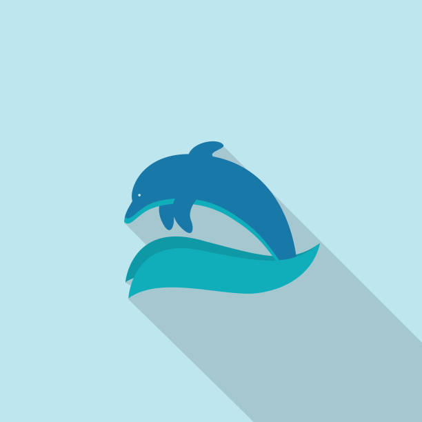 Dolphin Summer icon With Shadow Summer  icon with long side shadow. Flat design style. Easy to edit or change colors. EPS file is CMYK and comes with a large high resolution jpeg. drawing of fish jumping out water stock illustrations