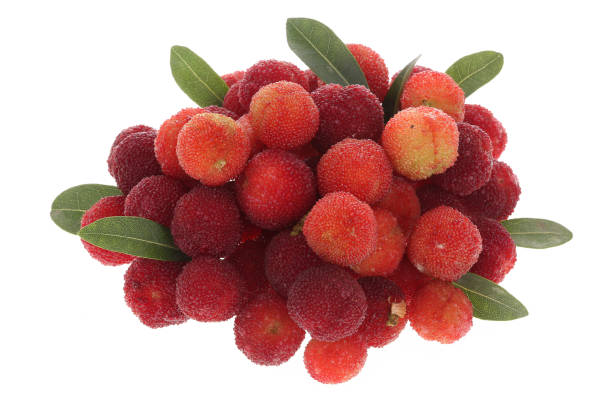 istock fresh red bayberry on white background 1242429915