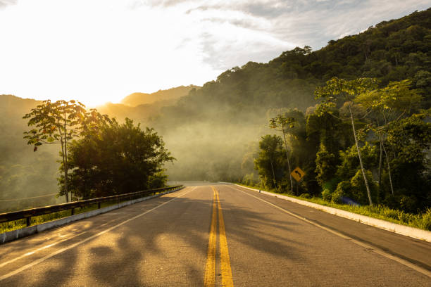 unterwegs unter sonnenuntergangslicht - asphalt beauty in nature nature scenics stock-fotos und bilder