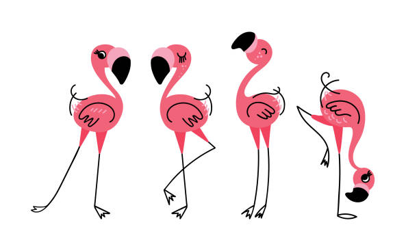 Cute cartoon flamingos set Cute cartoon flamingos set. Exotic birds in trendy naive style. Vector illustration. flamingo stock illustrations