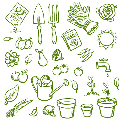 Hand drawn organic gardening vector illustrations