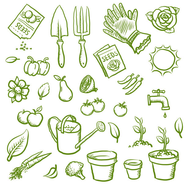 Organic gardening icons Hand drawn organic gardening vector illustrations farm drawings stock illustrations