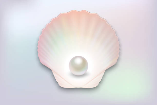 istock Vector 3d Realistic Natural Open Half Shell with Pearl Close up on Pearl Color Background. Top View 1242509505