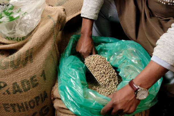 grãos de café frescos provenientes da etiópia - coffee bag sack bean - fotografias e filmes do acervo