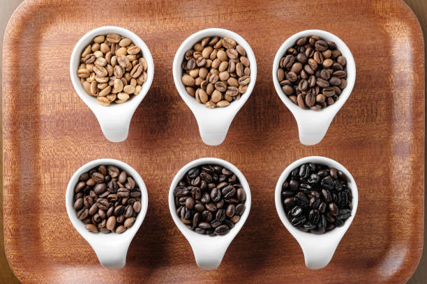 istock Coffee beans roasted in six stages 1242525605
