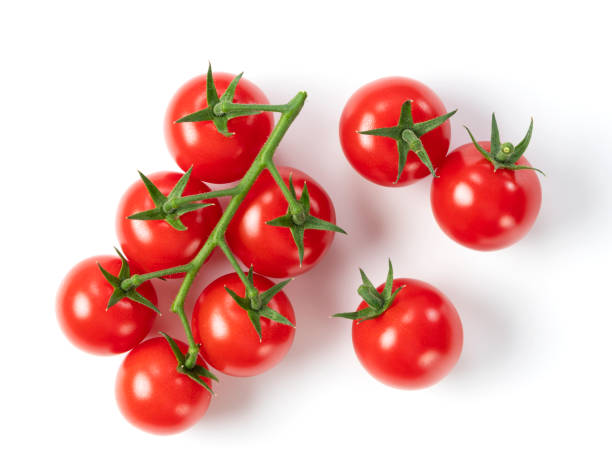 istock series of fresh petite tomatoes on a white background 1242577550