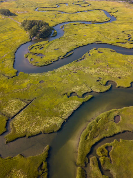 Aerial Photograph of Wetland Estuary This is an aerial photograph of wetland estuary in Massachusetts, New England, USA. estuary stock pictures, royalty-free photos & images