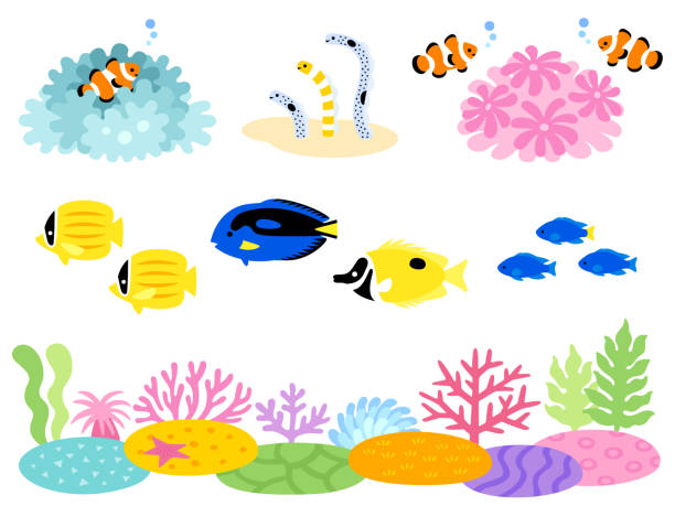 ilustraciones, imágenes clip art, dibujos animados e iconos de stock de conjunto ilustrado de arrecifes de coral y peces tropicales - tropical fish saltwater fish butterflyfish fish