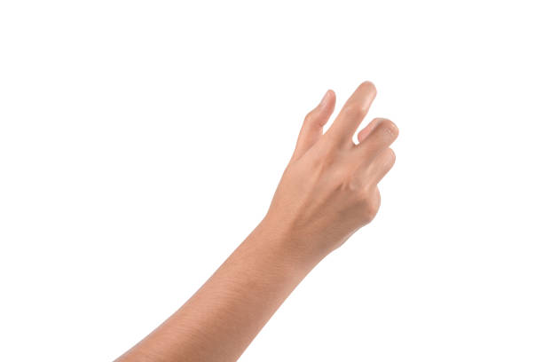 close-up of woman's hand holding or turning something isolated on white background. - human hand reaching human arm gripping imagens e fotografias de stock