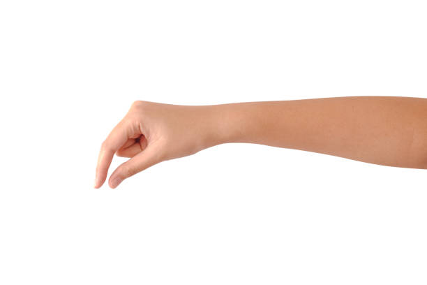 Close up of one beautiful female caucasian hand holding or turning something isolated on white background. Close up of one beautiful female caucasian hand holding or turning something isolated on white background. Anonymous adult woman holds hand as if showing something virtual and invisible between fingers. reaching stock pictures, royalty-free photos & images