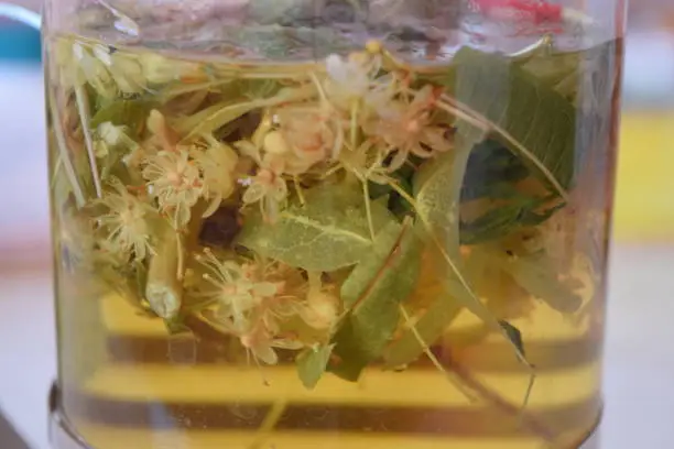 Photo of Linden herbal tea in a tea pot close-up. Medicinal tea. Lime herbal tea.